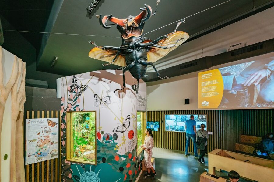 Barcelona: 1-Day Ticket to Barcelona Zoo - Parc de la Ciutadella: Where your Barcelona Zoo day actually starts