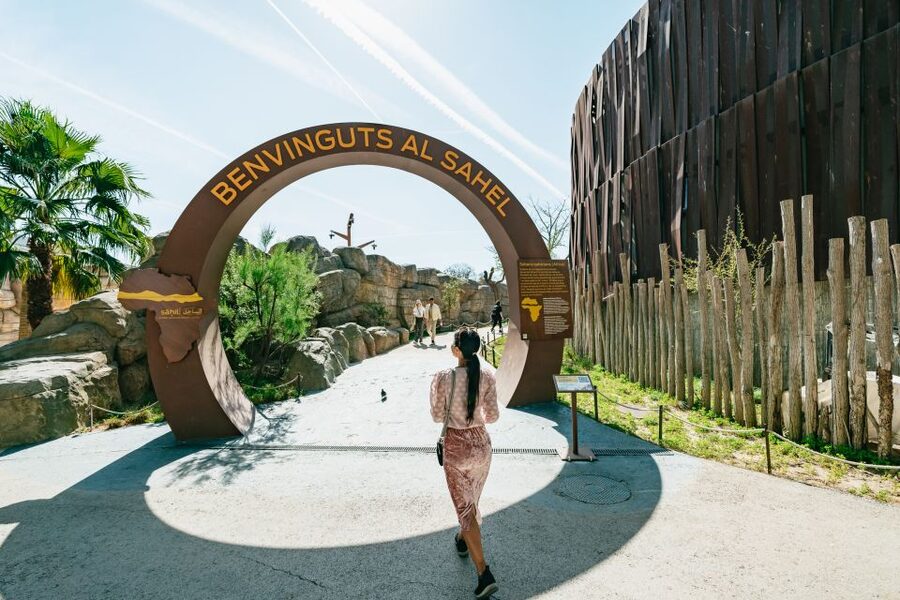 Barcelona: 1-Day Ticket to Barcelona Zoo - Hot-day reality check: when animals go indoors
