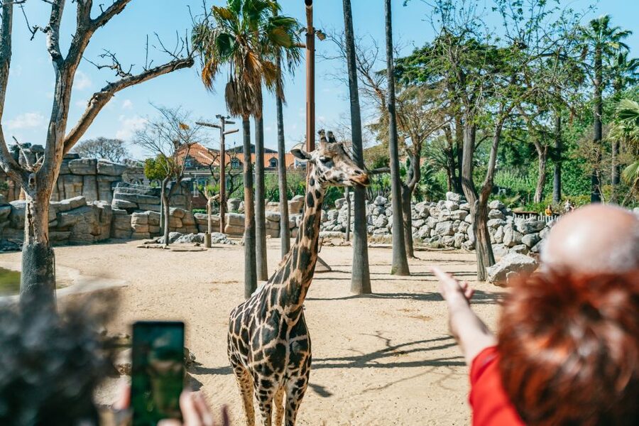 Barcelona: 1-Day Ticket to Barcelona Zoo - Family-friendly extras: more than just a zoo loop