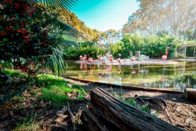 Barcelona Zoo Entrance Ticket - Start your day your way: flexible entry and realistic timing