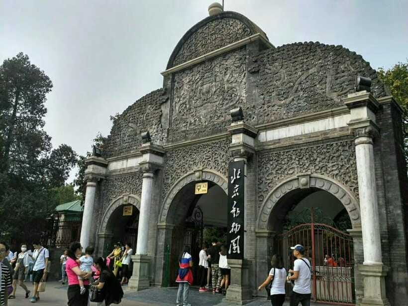 Beijing: The Beijing Zoo Entry Ticket with Pandas - Useful Extras on Site: Aquarium, Food, and Small Cost Decisions