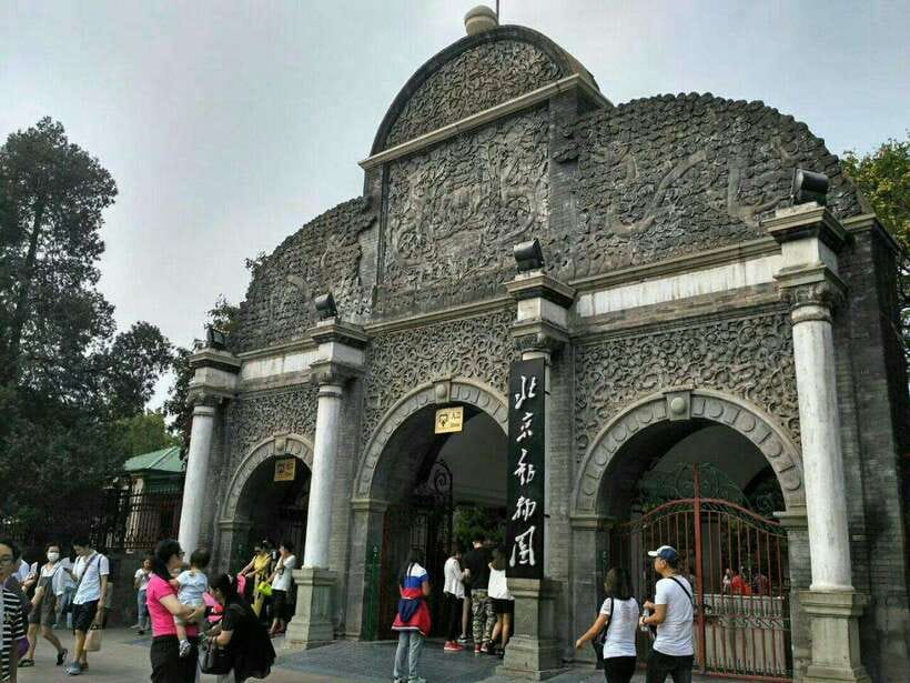 Beijing: The Beijing Zoo Entry Ticket with Pandas - Getting to Beijing Zoo: Subway Line 4 to Dong wu yuan (Exit B)
