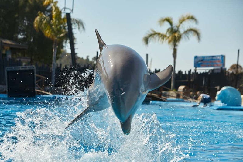 Benidorm: Mundomar Animal Park Entrance Ticket - Mundomar Animal Park: what you’re actually buying