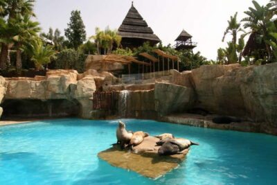 Benidorm: Mundomar Animal Park Entrance Ticket - Opening hours and show rhythm: how to plan your timing