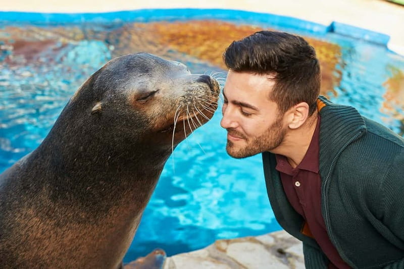 Benidorm: Mundomar Animal Park Entrance Ticket - Sea-lion action: fun to watch, and an option for more
