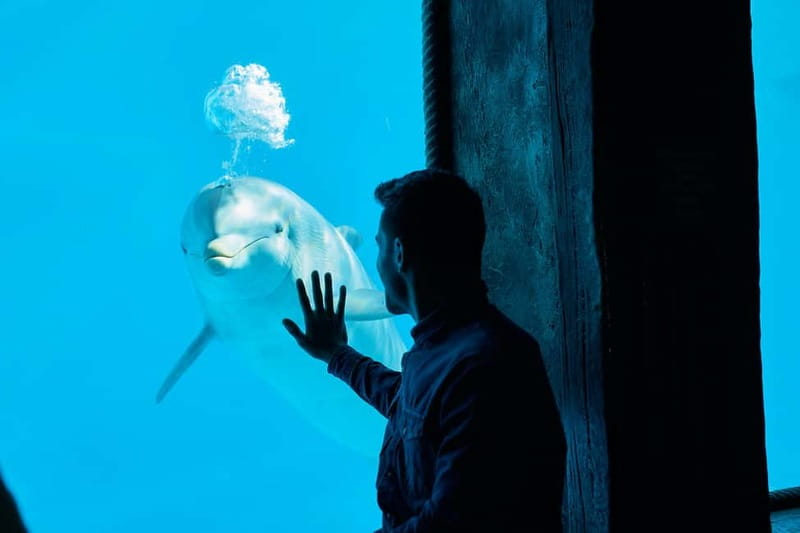 Benidorm: Mundomar Animal Park Entrance Ticket - Photos and extras: what’s included vs what costs more