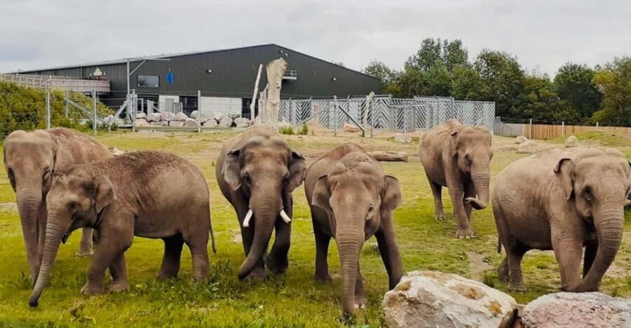 Blackpool: Zoo Admission Ticket - Key highlights to look for