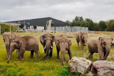 Blackpool: Zoo Admission Ticket - 37 Acres and Mature Parkland: How to Plan a Smooth Route