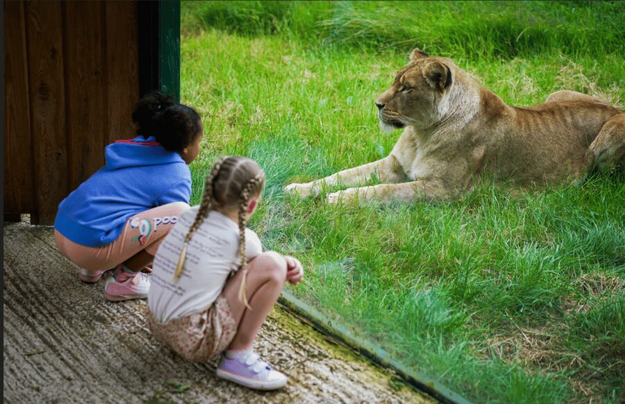 Blackpool: Zoo Admission Ticket - Sea Lion Demonstrations and Keeper Talks on a Daily Schedule