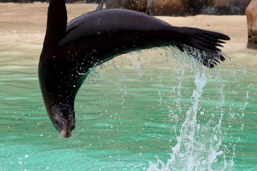 Blackpool: Zoo Admission Ticket - Food, Facilities, and the Real Cost of a Full Day