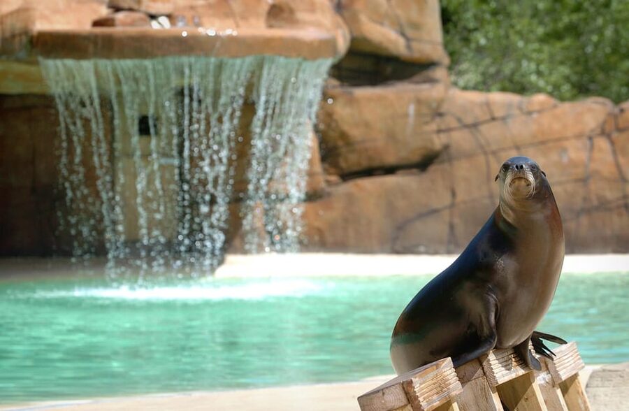 Blackpool: Zoo Admission Ticket - Where Blackpool Zoo Fits Best (and Who Might Want a Different Option)