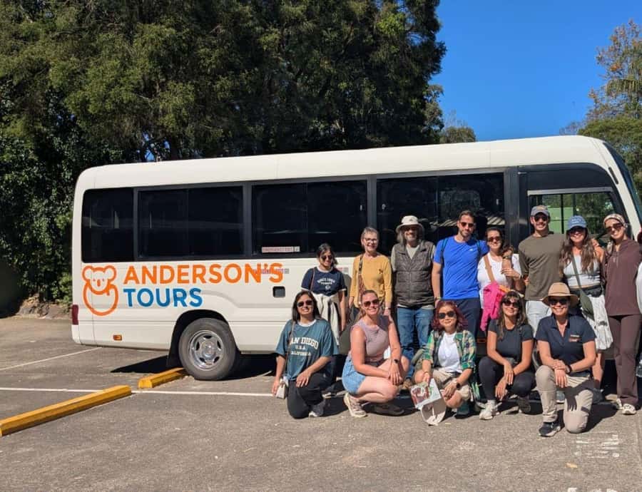 Blue Mountain: Small-Group Tour with Lunch & Scenic World - Who this tour is best for (and who should think twice)