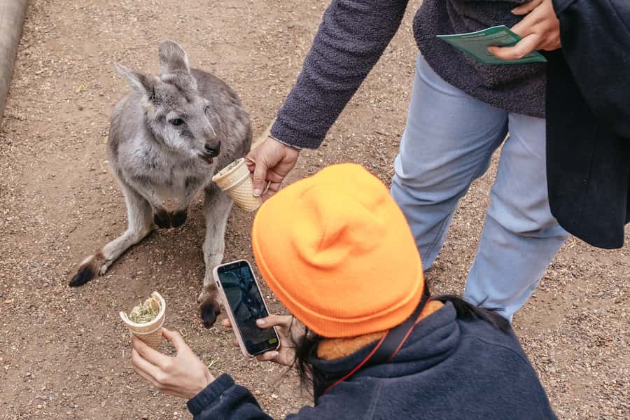Blue Mountain: Small-Group Tour with Lunch & Scenic World - Echo Point and the Three Sisters: viewpoints plus cultural context