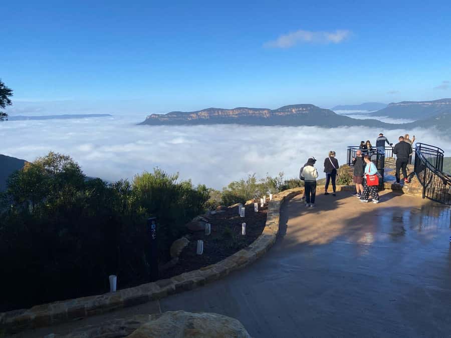 Blue Mountain: Small-Group Tour with Lunch & Scenic World - Lunch in the Blue Mountains: what’s included and what to watch for