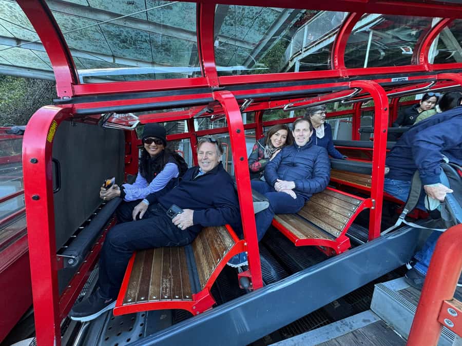 Blue Mountain: Small-Group Tour with Lunch & Scenic World - Featherdale Wildlife Park vs Sydney Zoo: choosing your kangaroo-and-koala style