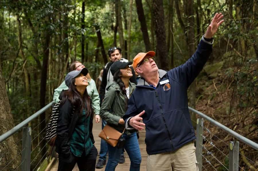 Blue Mountain: Small-Group Tour with Lunch & Scenic World - Getting there in a deluxe mini coach with WiFi and real guide talk