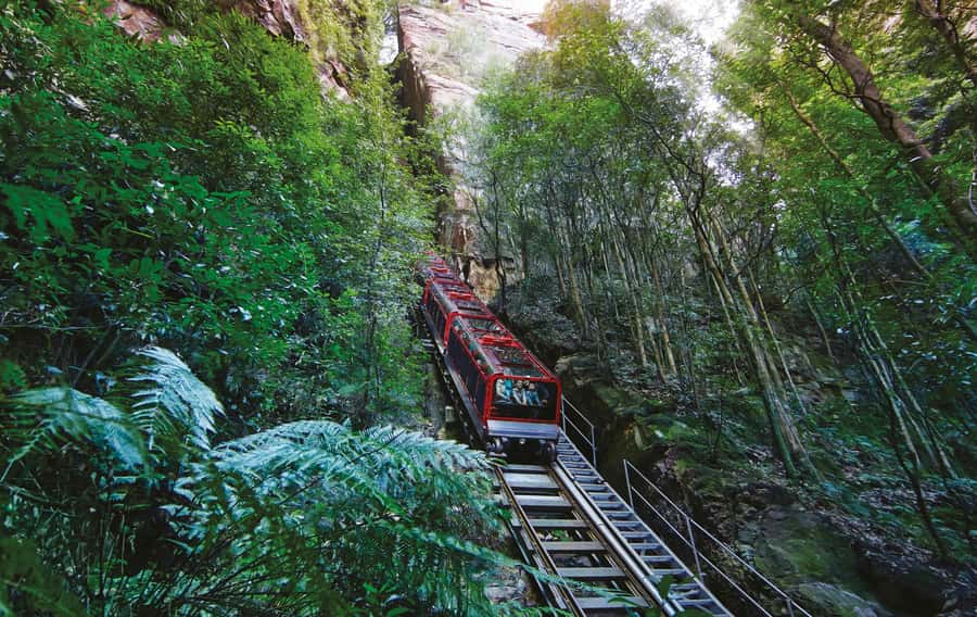 Blue Mountains Adventure: Scenic World, Zoo & Koala Photo - Hotel Pickup, Coach Time, and How the Day Flows