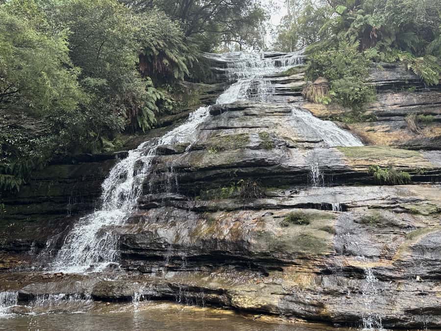 Blue Mountains Adventure: Scenic World, Zoo & Koala Photo - Should You Book It?