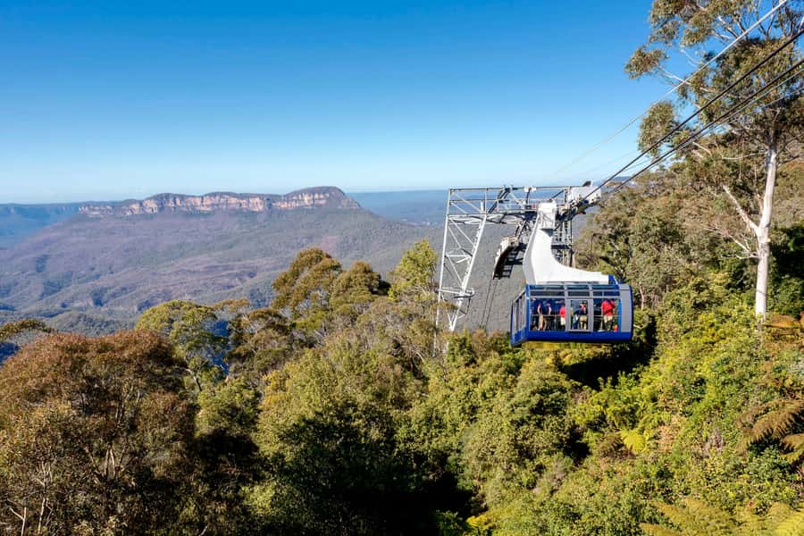 Blue Mountains Adventure: Scenic World, Zoo & Koala Photo - Echo Point and the Three Sisters: Photos, Vistas, and Stories