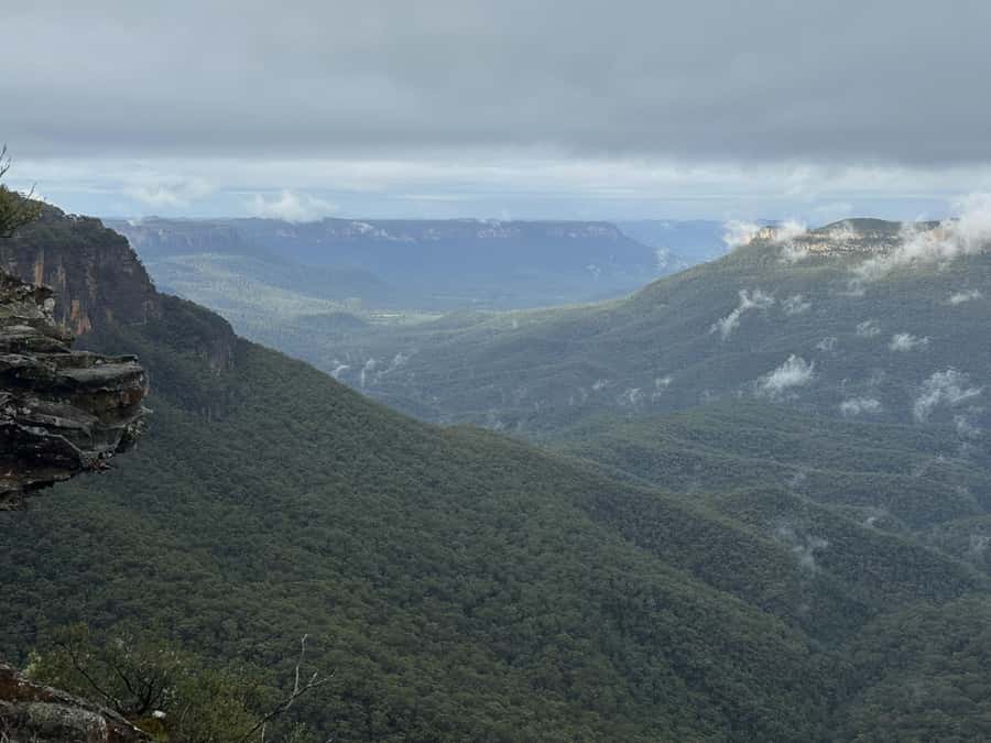 Blue Mountains Adventure: Scenic World, Zoo & Koala Photo - Leura Lunch Stop: A Reset in a Pretty Town