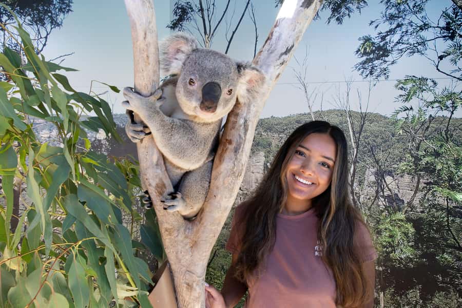 Blue Mountains Adventure: Scenic World, Zoo & Koala Photo - Price and Value: Is $144 Worth It?