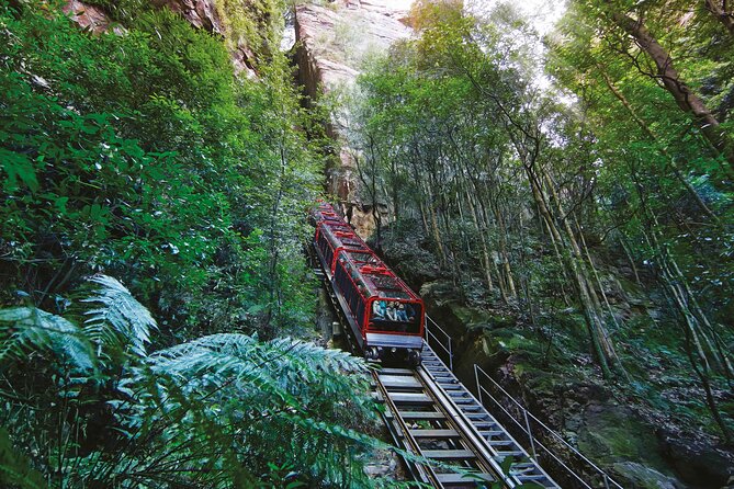 Blue Mountains Adventure w Scenic World, Zoo, Koala Photo & Ferry - Key highlights worth your time