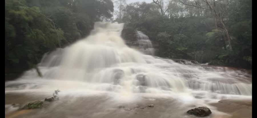 Blue Mountains day tour with Cruise, Scenic world pass & Zoo - Key Things That Make This Tour Work