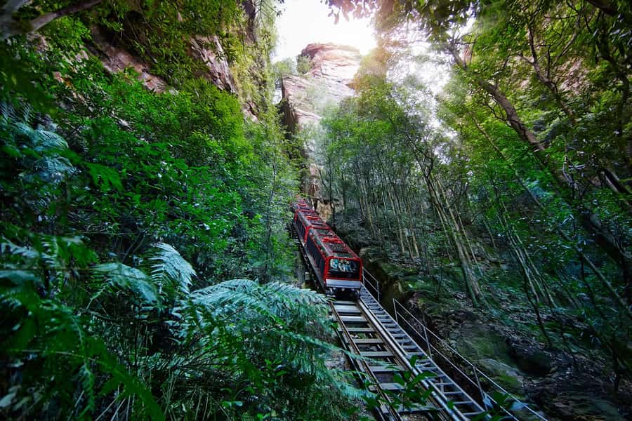 Blue Mountains day tour with Cruise, Scenic world pass & Zoo - First Stop: Sydney Pickup and a Max-28 Group That Feels Manageable