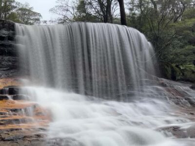 Blue Mountains day tour with Cruise, Scenic world pass & Zoo - Sydney Zoo Before the Heat: Why This Early Start Is a Real Win