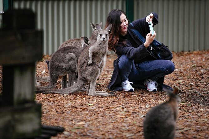 Blue Mountains Day Tour with Scenic World and Wildlife Park Entry - Optional Parramatta River Cruise: A Slower Sydney Exit