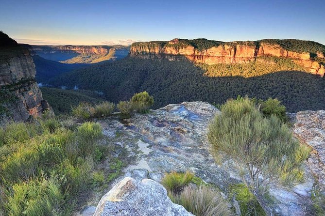 Blue Mountains Highlights, Wildlife Park and Scenic World Full Day Private Tour - Blue Mountains National Park walk: where the day gets its legs