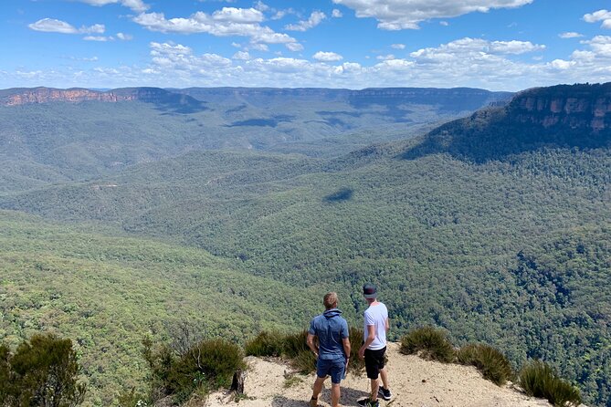 Blue Mountains Private Tour From Sydney, & Featherdale Aussie Animal Park Option - Key things to know before you go