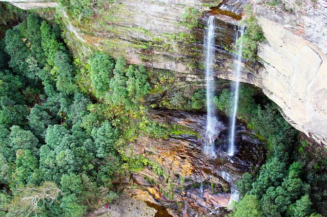 Blue Mountains Private Tour including Wildlife Park - Leura break: a small town reset for coffee and lunch