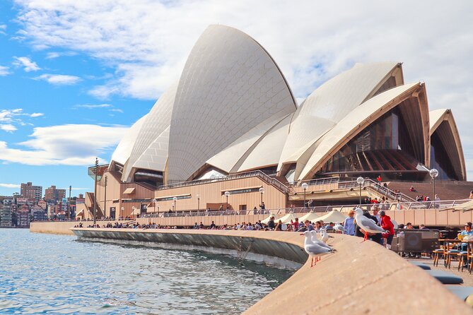 Blue Mountains Private Tour including Wildlife Park - Guides can matter more than you think (and you might meet one of these)