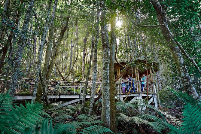 Blue Mountains Small-Group Tour from Sydney with Scenic World,Sydney Zoo & Ferry - The ferry back to Circular Quay: your easy finish to the day