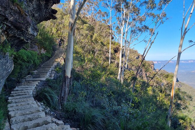 Blue Mountains Small Group Tour with Lunch, Zoo and Scenic World - Leura Lunch: Break Time That Actually Feels Like a Break