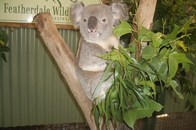Blue Mountains Tour PRIVATE with Wildlife Park and River Cruise - Entering The Blue Mountains World Heritage Circuit (Echo Point, Canyon Views, and Falls)