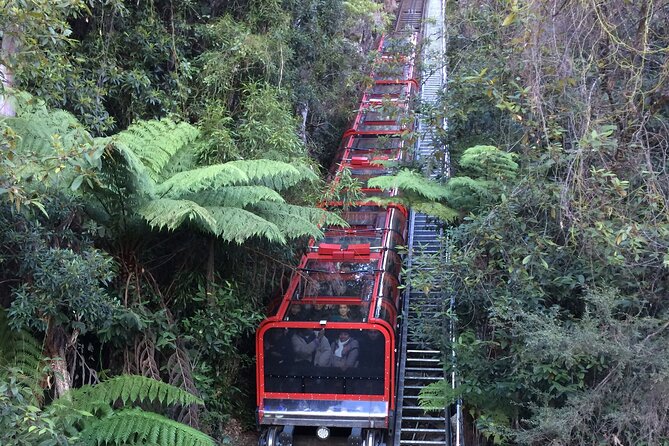 Blue Mountains Tour PRIVATE with Wildlife Park and River Cruise - Cahill’s Lookout, Wentworth Falls, and the Best Use of Short Stops