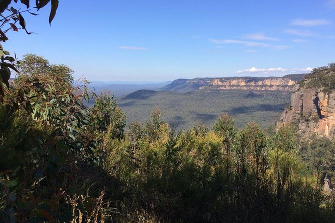 Blue Mountains Tour PRIVATE with Wildlife Park and River Cruise - Price and Value at About $394.48 Per Person
