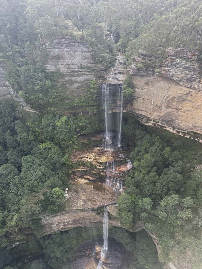 Blue Mountains Tour w/Lunch: Scenic World, Zoo & Koala Photo - Scenic World: Railway, Skyway, Gondola, and the Rainforest Walk