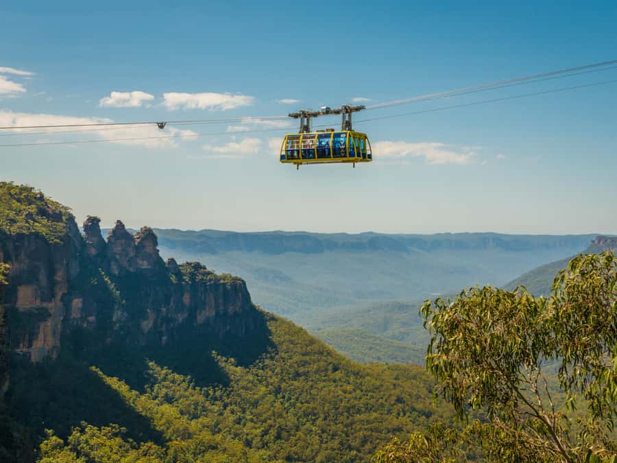 Blue Mountains Tour w/Lunch: Scenic World, Zoo & Koala Photo - The Harbour Ferry Back to Circular Quay: Don’t Miss This