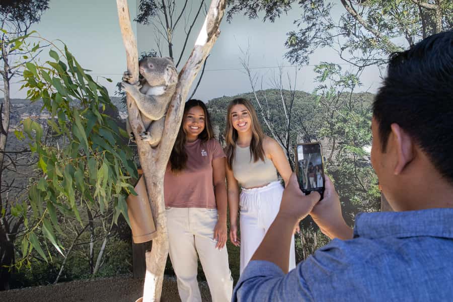 Blue Mountains Tour w/Lunch: Scenic World, Zoo & Koala Photo - Hotel Pickup and the Glenbrook Coffee Reset