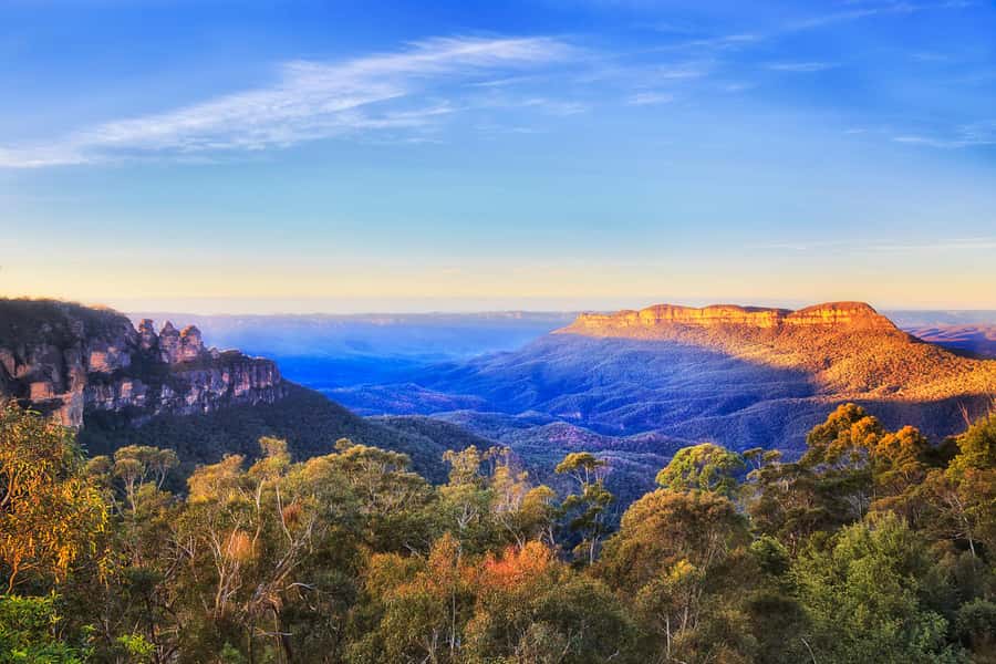 Blue Mountains Tour with Scenic World, Zoo&Bilingual Driver - Featherdale Wildlife Park: koalas and kangaroos early, before the crowds