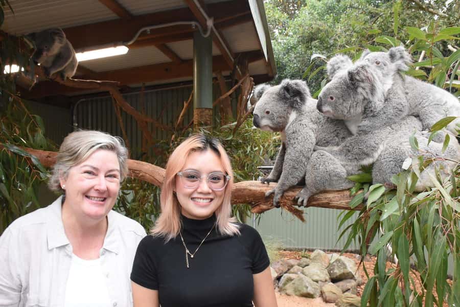 Blue Mountains Tour with Scenic World, Zoo&Bilingual Driver - Price and value: why $110 can make sense for a packed day