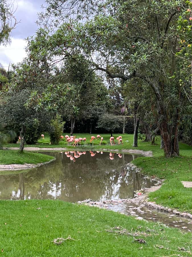 BOGOTA: Tour of Jaime Duque Park, Zoo, and Aerospace Museum - Jardín de la Fuente de Los Ángeles: a calmer break for photos and breathing room