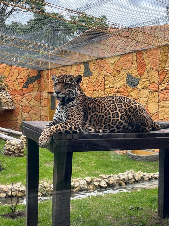 BOGOTA: Tour of Jaime Duque Park, Zoo, and Aerospace Museum - Theater show and that family-friendly rhythm