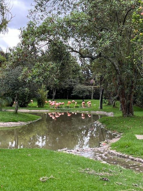 BOGOTA: Tour of Jaime Duque Park, Zoo, and Aerospace Museum - The 6-hour logistics: private transport, park time, and Tocancipá stops