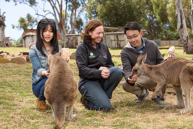 Bonorong Wildlife Park and Richmond Afternoon Tour from Hobart - Key things to know before you go