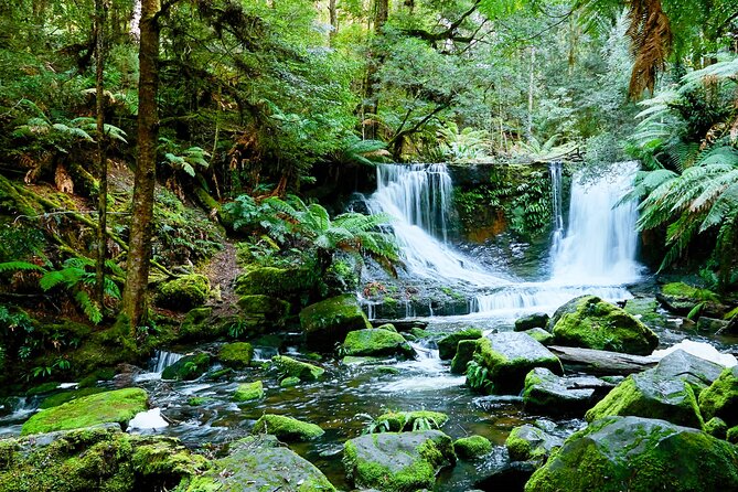 Bonorong Wildlife Park and Richmond Afternoon Tour from Hobart - Koalas, devils, and what to do if sightings don’t match your dream list
