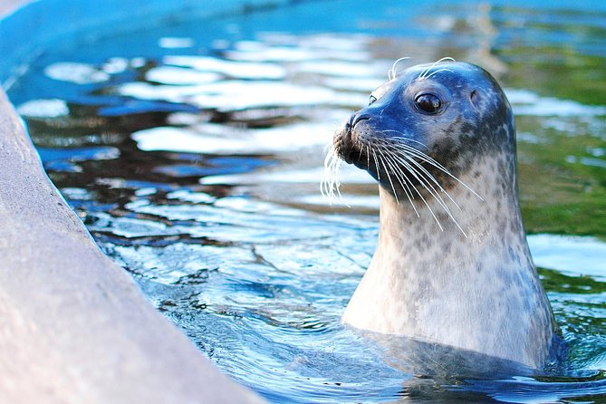 Boston Pass: 40+ Things To Do - Includes Franklin Park Zoo - Price and Value: When $79 Starts to Make Sense